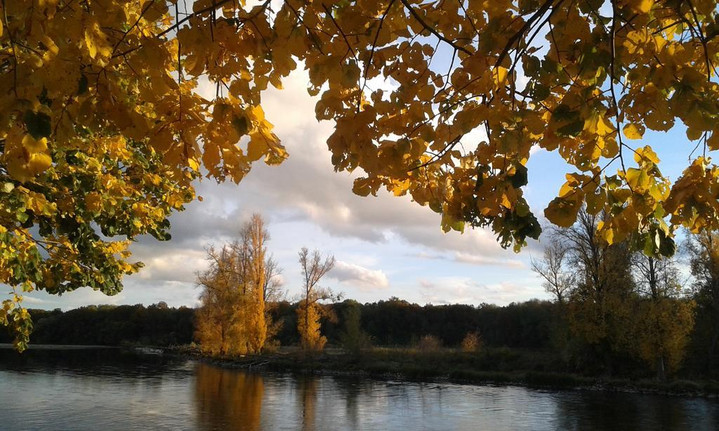 Ousson-sur-LoireLa Chaumiere住宿加早餐旅馆 外观 照片