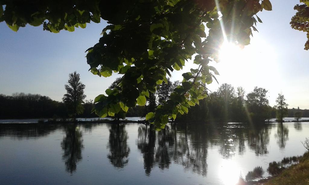 Ousson-sur-LoireLa Chaumiere住宿加早餐旅馆 外观 照片
